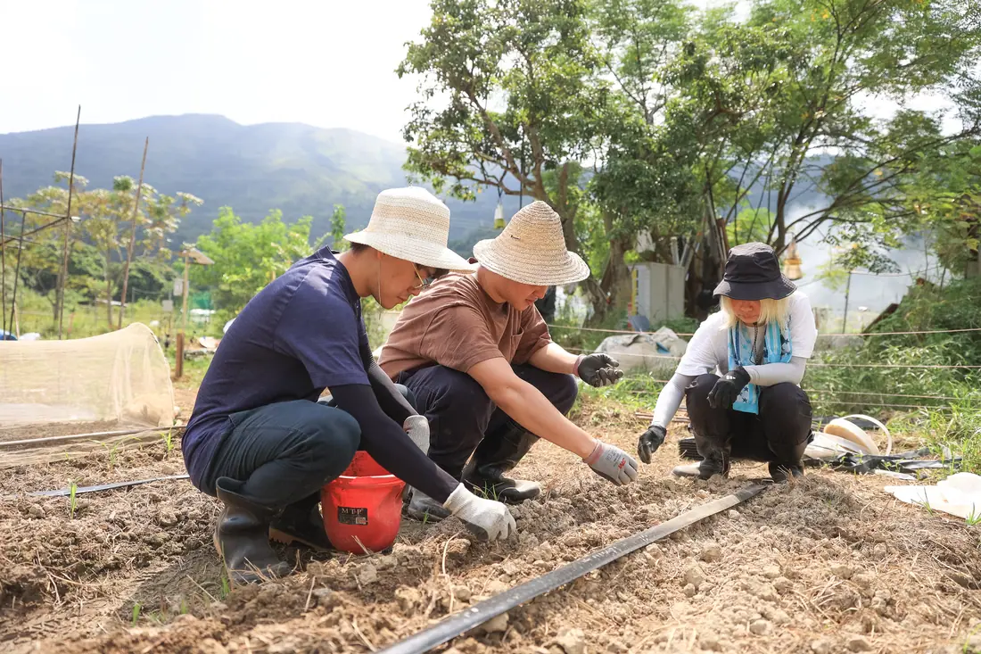 教學方法相片列 3