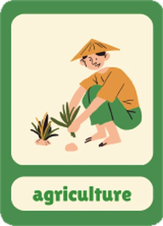 生字卡：agriculture